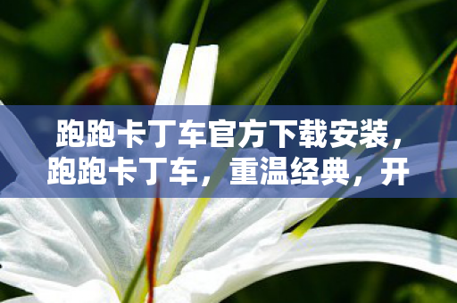 跑跑卡丁车官方下载安装，跑跑卡丁车，重温经典，开启极速漂移之旅—官方下载全攻略