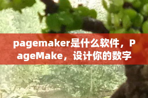 pagemaker是什么软件图片
