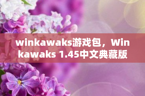 winkawaks游戏包图片