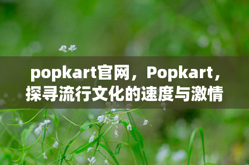 popkart官网，Popkart，探寻流行文化的速度与激情