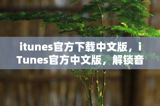 itunes官方下载中文版图片