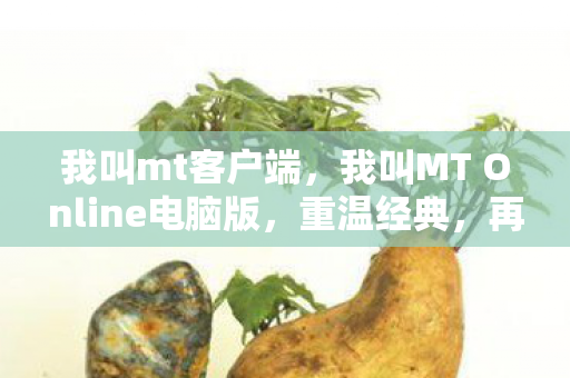 我叫MT Online电脑版图片