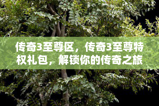 传奇3至尊特权礼包图片