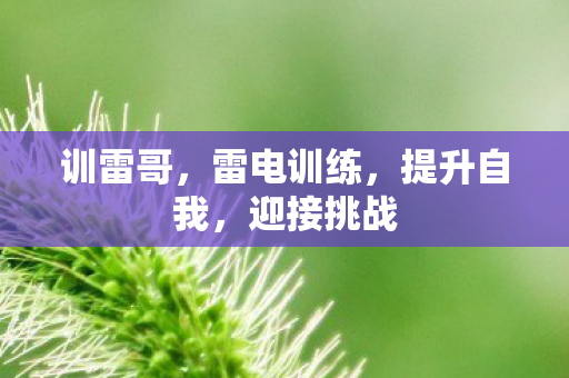 雷电训练图片