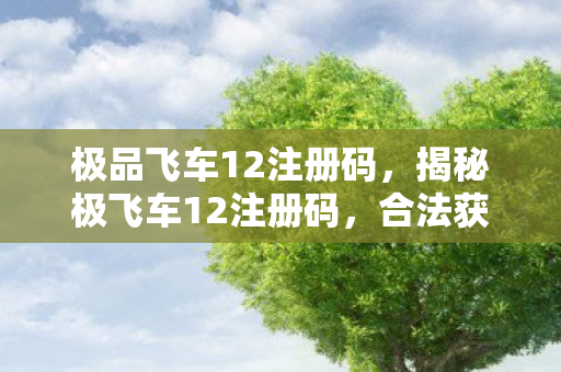 揭秘极飞车12注册码图片