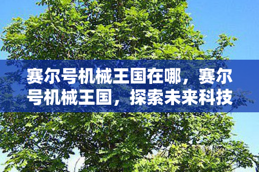 探索未来科技的奇幻之旅图片