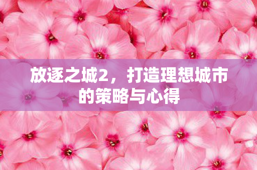 打造理想城市的策略与心得图片