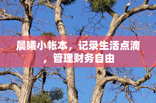 记录生活点滴图片