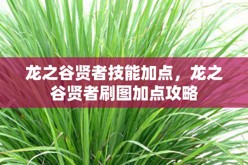 龙之谷贤者刷图加点攻略图片