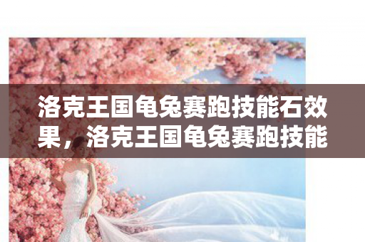 洛克王国龟兔赛跑技能石效果图片