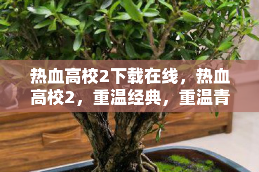 热血高校2下载在线图片