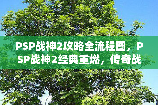 PSP战神2攻略全流程图图片