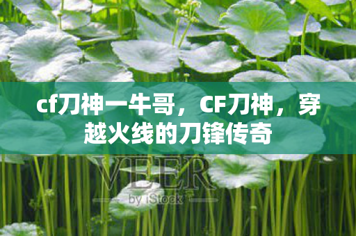 穿越火线的刀锋传奇图片