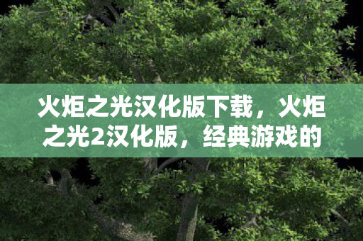 火炬之光汉化版下载图片