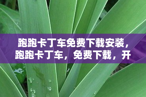 跑跑卡丁车免费下载安装，跑跑卡丁车，免费下载，开启你的竞速之旅！