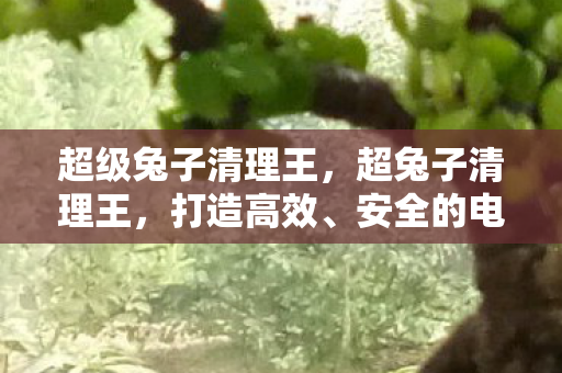 安全的电脑清理体验图片