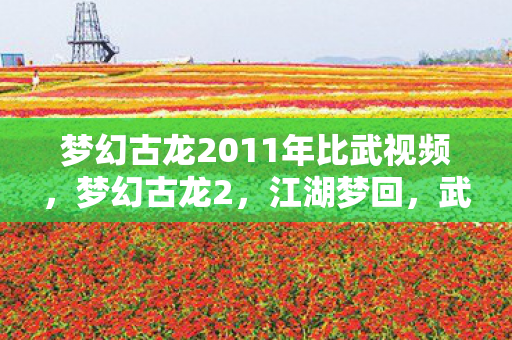 梦幻古龙2011年比武视频图片