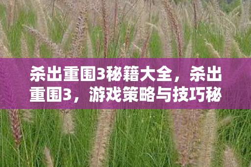 杀出重围3秘籍大全图片