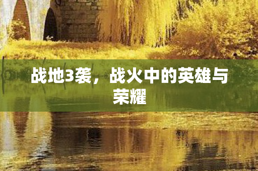 战火中的英雄与荣耀图片