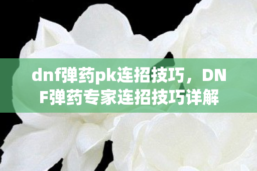 DNF弹药专家连招技巧详解图片