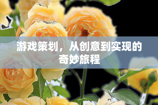 从创意到实现的奇妙旅程图片