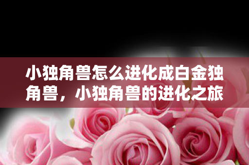 小独角兽怎么进化成白金独角兽图片