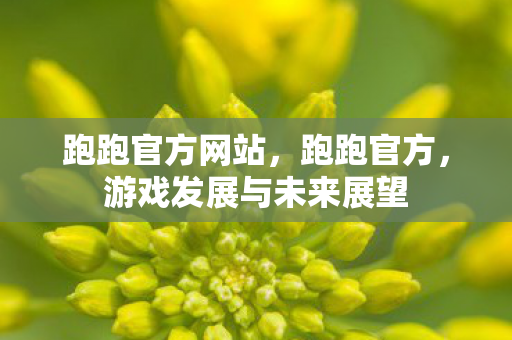 跑跑官方网站，跑跑官方，游戏发展与未来展望