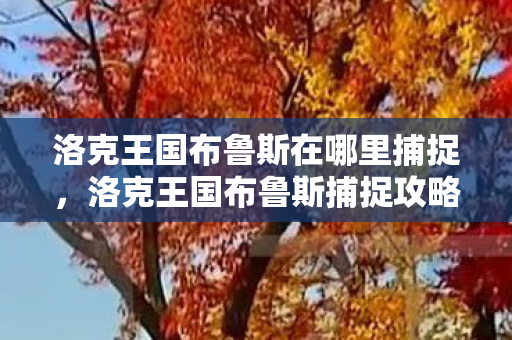 洛克王国布鲁斯在哪里捕捉图片