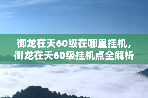 御龙在天60级挂机点全解析图片