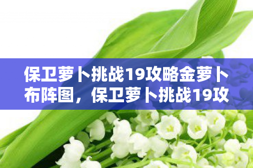 保卫萝卜挑战19攻略金萝卜布阵图图片