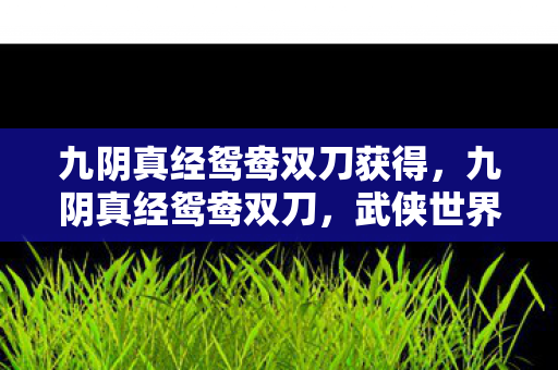 九阴真经鸳鸯双刀获得图片