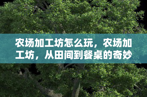 从田间到餐桌的奇妙旅程图片