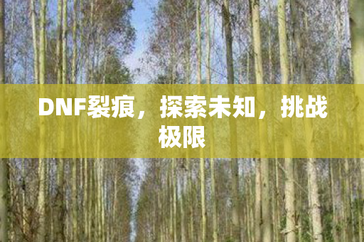 DNF裂痕图片