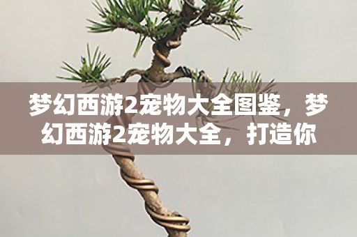 梦幻西游2宠物大全图鉴图片