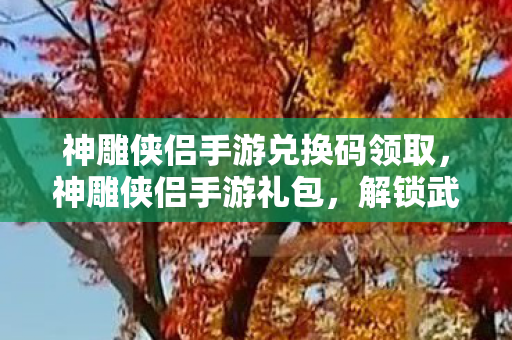 神雕侠侣手游兑换码领取图片