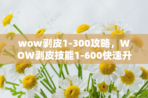 600快速升级攻略图片