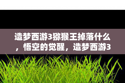 造梦西游3猕猴王掉落什么图片