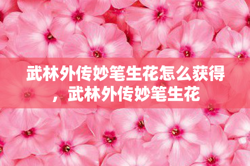 武林外传妙笔生花怎么获得图片