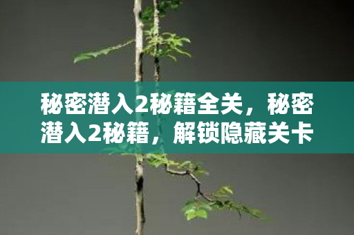 解锁隐藏关卡与角色攻略图片