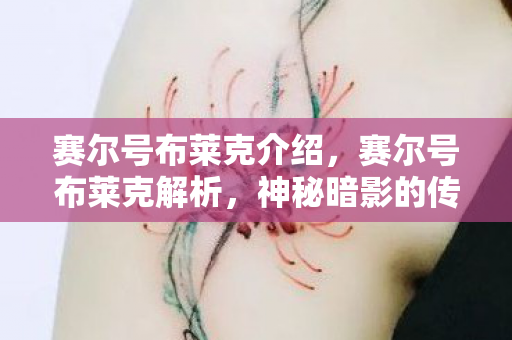 神秘暗影的传奇之旅图片