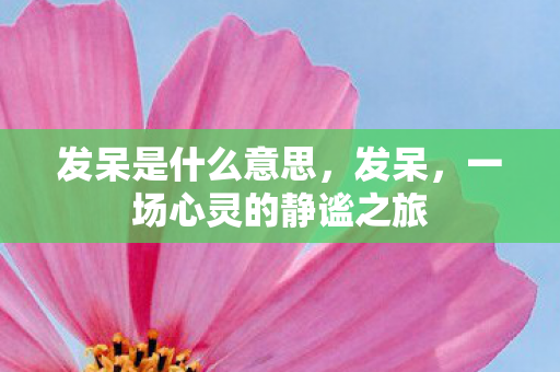 一场心灵的静谧之旅图片