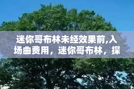 探索奇幻世界的奇妙生物图片