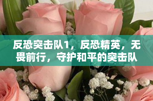 守护和平的突击队图片