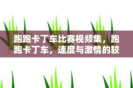 跑跑卡丁车比赛视频集，跑跑卡丁车，速度与激情的较量—一场精彩绝伦的比赛视频回顾