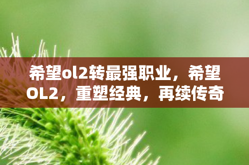 希望ol2转最强职业图片