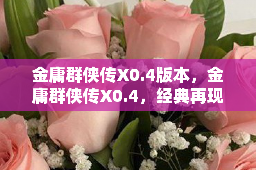 金庸群侠传X0图片