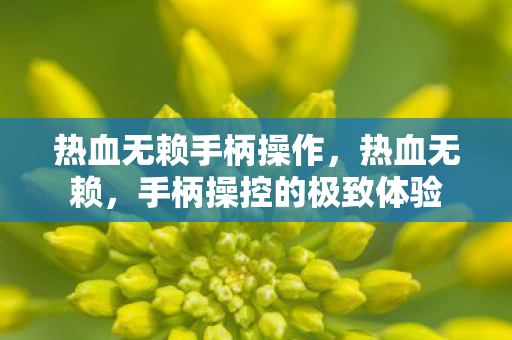 手柄操控的极致体验图片