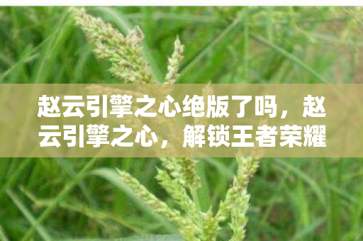 解锁王者荣耀中的传奇英雄图片