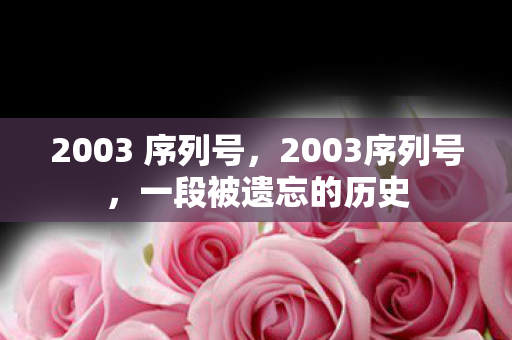 2003 序列号图片