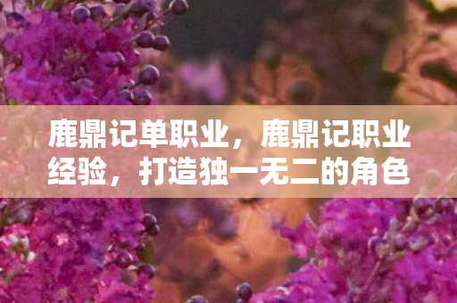 打造独一无二的角色成长之路图片